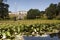 Mansion Powerscourt Estate and gardens. Republic of Ireland