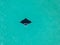 Manta Ray swimming in shallow water by drone in Miami Beach