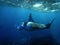 Manta Ray swims in Hanamau Bay