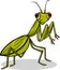 Mantis insect cartoon illustration