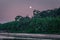 Manu National Park, Peru - August 06, 2017: Nightfall at the shores of the Amazon rainforest of Manu National Park, Peru