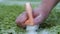 Manual cleaning of the carpet with foam. The hand of a person with a brush washes and washes the carpet fabric