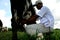 Manual milking in a farm in bahia