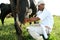 Manual milking in a farm in bahia