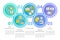 Manufacturing sub sectors circle infographic template