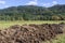 Manure for fertilizing soil in agricultural fields