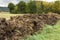 Manure heap