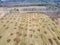Manure heaps lie in even rows on a farm field, aerial photo.