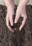 Manuring soil with hands after planted seeds