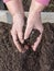 Manuring soil with hands after planted seeds