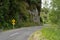 Manuwautu Scenic Route through the Oroua River gorge in New Zealand