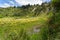 Manuwautu Scenic Route through the Oroua River gorge in New Zealand