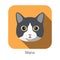 Manx Cat, Cat breed face cartoon flat icon design