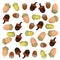 Many acorns