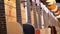 Many acoustic guitars hanging in a music store. Shop musical instruments.