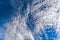 Many altocumulus clouds on blue sky