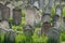 Many ancient gravestones on a jewish cemetery