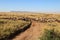 Many animals wander through the Masai Mara in August.