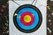Many arrows in archery target, closeup view