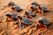 Many baby turtles on the sandy beach and crawl.illustration. Ai generative