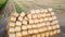 Many bales compressed dry wheat straw twisted round rolls, on field