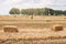 Many bales of golden straw lie on farmland, in the background are trees and the sky with clouds