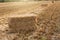 Many bales of golden straw lie on farmland, one bale closeup, selective focus