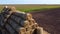 Many bales rolls dry straw after wheat harvest on field. Bales in form of rolls