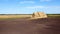 Many bales of rolls of dry straw after wheat harvest on field. Bales form rolls