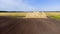 Many bales rolls dry straw after wheat harvest field. Bales in form rolls straw