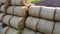 Many bales straw field Many bales rolls of wheat straw stacked together field