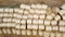 Many bales straw field Many bales rolls of wheat straw stacked together field