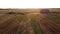 Many bales of wheat straw rolls on wheat field after wheat harvest sunset dawn