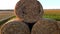 Many bales of wheat straw rolls on wheat field after wheat harvest sunset dawn