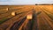 Many bales wheat straw twisted into rolls with long shadows after wheat harvest