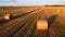 Many bales wheat straw twisted into rolls with long shadows after wheat harvest