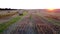 Many bales of wheat straw twisted into rolls long shadows after wheat harvest