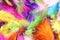 Many beautiful bright feathers as background, closeup