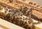 Many bees eat the remains of honey from honeycombs in upper part of hive