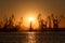 Many big cranes silhouette in the port at golden light of sunrise reflected in water. Berdiansk, Ukraine