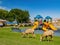 Many big horn sheep at Hemenway Park