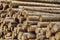 Many Big Pine Wood logs In Large Woodpile Background Texture