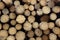 Many Big Pine Wood logs In Large Woodpile Background Texture