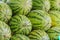 Many big sweet green watermelons background. Extra jumbo size of