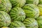 Many big sweet green watermelons background. Extra jumbo size of