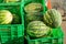 Many big watermelons in a basket for sale