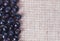 Many bilberry fruits, on gray linen