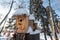 Many birdhouses, for birds and feeders on the tree. Houses for birds in the winter under the snow on the tree. Bird