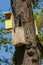 Many Birdhouses of different colors on the tree, housing issue