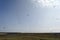 Many birds flying in the icelandic sky over a field